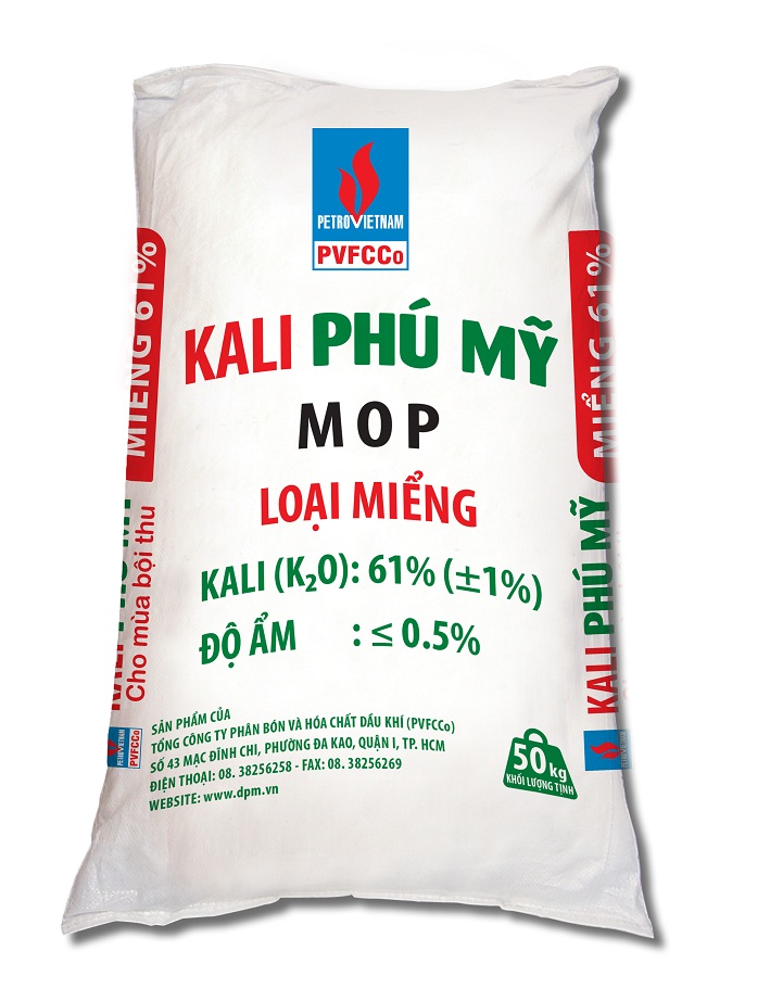 kyli phú mỹ