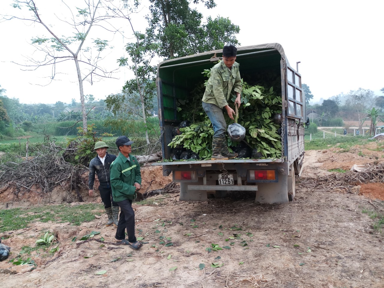 dự án