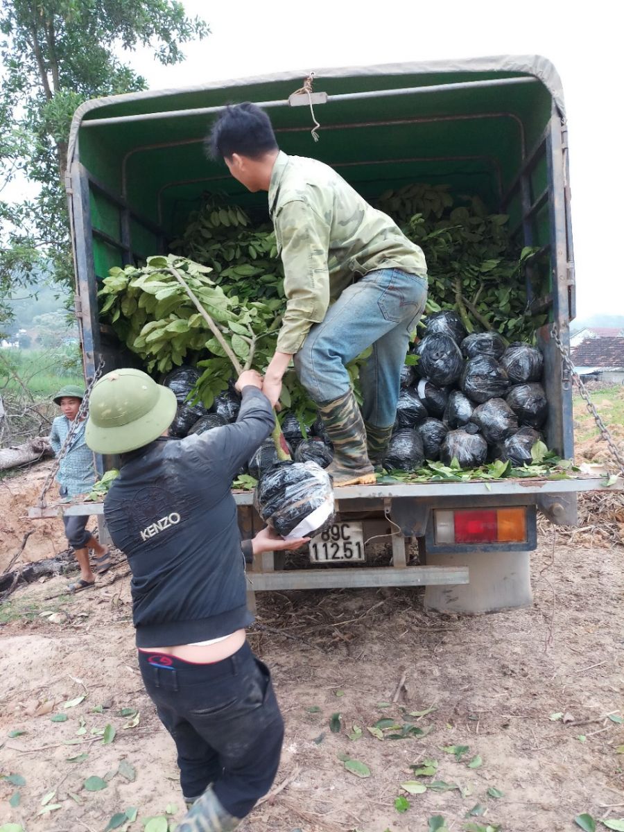 dự án