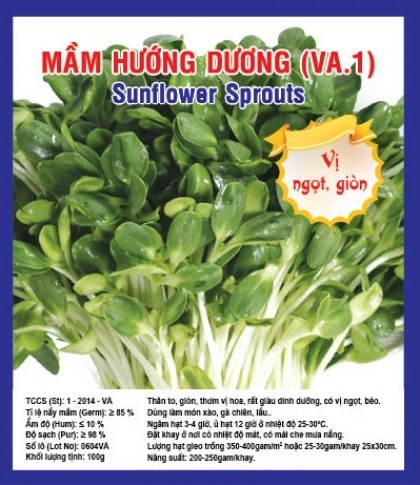 Hạt giống mầm hướng dương